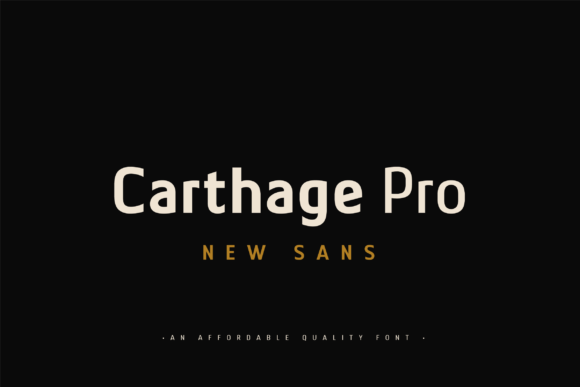 CARTHAGE PRO merchant preview