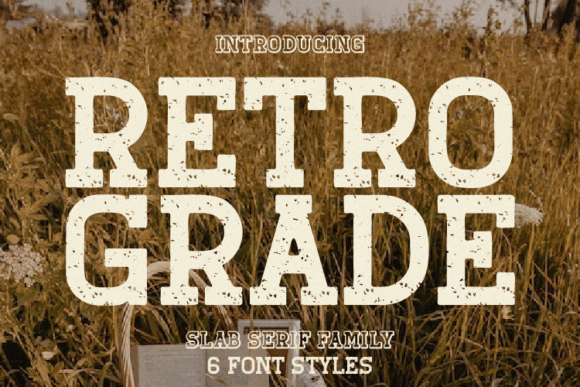 Retro Grade merchant preview